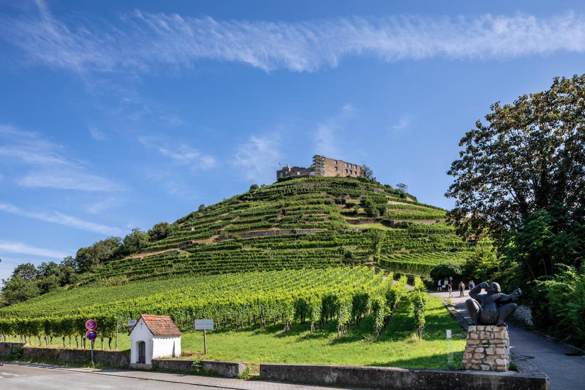 Ferienwohnung Am Neumagen Staufen im Breisgau Exteriér fotografie