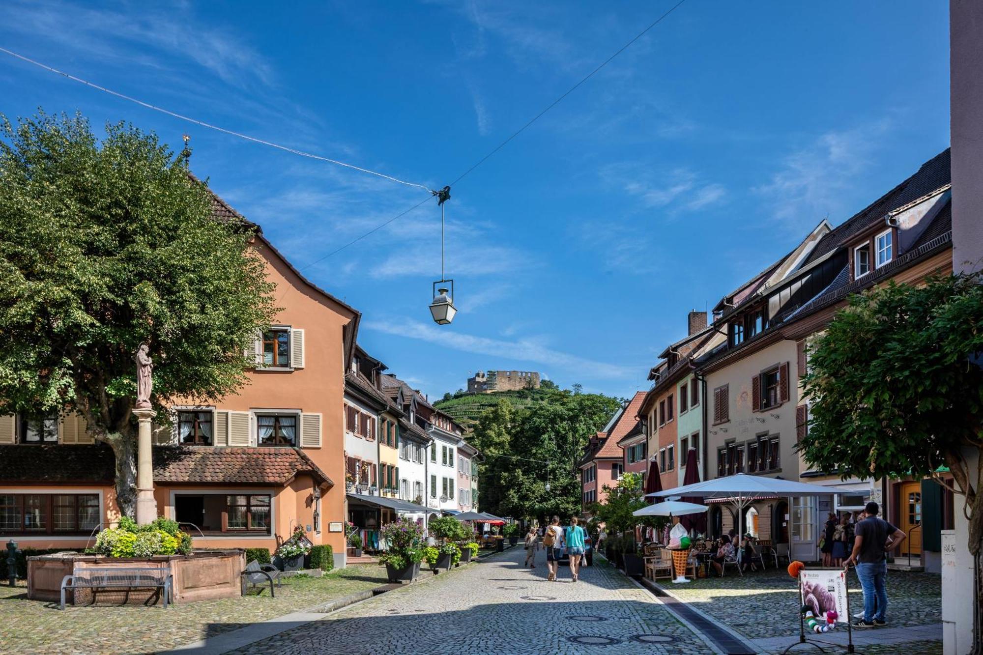 Ferienwohnung Am Neumagen Staufen im Breisgau Exteriér fotografie